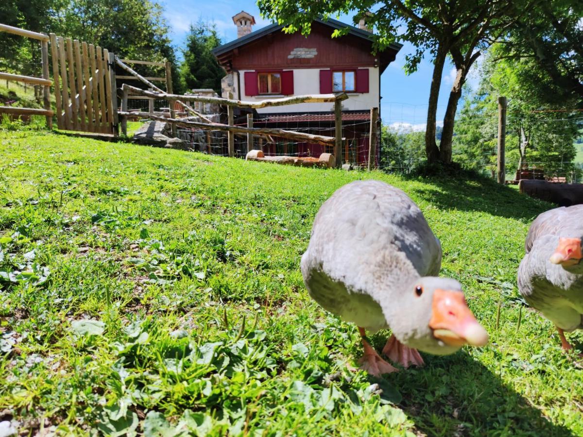 B&B Le Petit Vent Sormano Екстер'єр фото